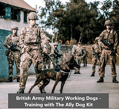 The Ally Dog Best arnés de perro de grado militar para perros que trabajan, correa fuerte I Cobra con hebilla, con secciones de velcro I ajustables, mango de control de retención I
