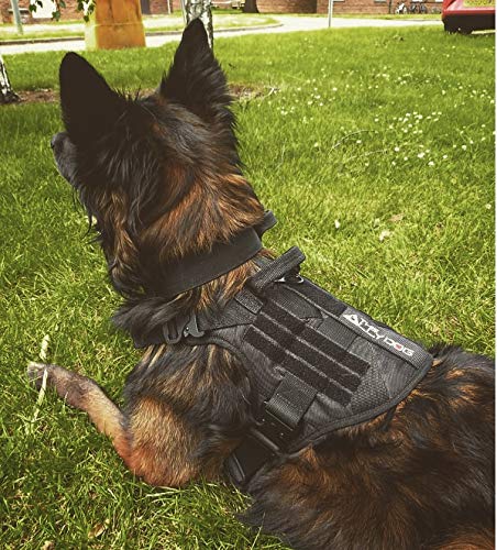 The Ally Dog Best arnés de perro de grado militar para perros que trabajan, correa fuerte I Cobra con hebilla, con secciones de velcro I ajustables, mango de control de retención I