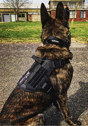 The Ally Dog Best arnés de perro de grado militar para perros que trabajan, correa fuerte I Cobra con hebilla, con secciones de velcro I ajustables, mango de control de retención I
