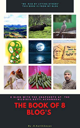 The Book Of 8 Blog's: The Book is from my Blog (English Edition)