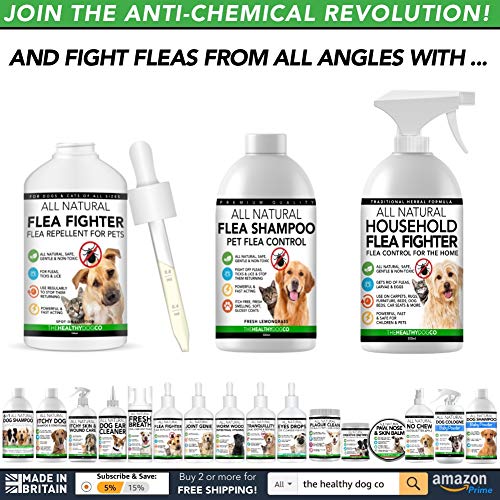 The Healthy Dog Co Champú antipulgas Completamente Natural | Limoncillo | 500ml | El Mejor Tratamiento para Perros y Gatos | Fórmula Potente y Segura | Mata y controla pulgas garrapatas y piojos