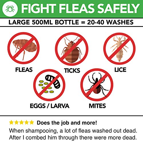The Healthy Dog Co Champú antipulgas Completamente Natural | Limoncillo | 500ml | El Mejor Tratamiento para Perros y Gatos | Fórmula Potente y Segura | Mata y controla pulgas garrapatas y piojos