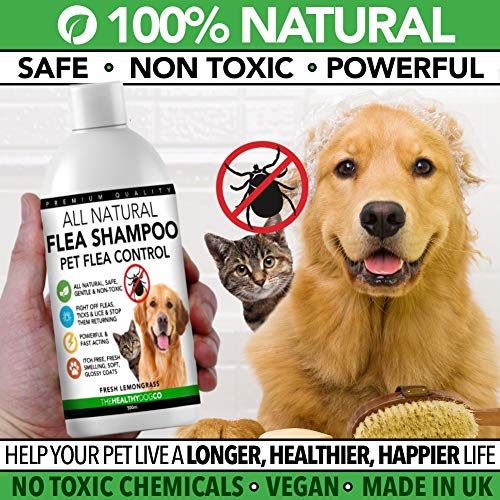 The Healthy Dog Co Champú antipulgas Completamente Natural | Limoncillo | 500ml | El Mejor Tratamiento para Perros y Gatos | Fórmula Potente y Segura | Mata y controla pulgas garrapatas y piojos