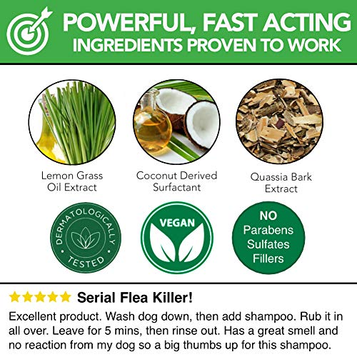 The Healthy Dog Co Champú antipulgas Completamente Natural | Limoncillo | 500ml | El Mejor Tratamiento para Perros y Gatos | Fórmula Potente y Segura | Mata y controla pulgas garrapatas y piojos