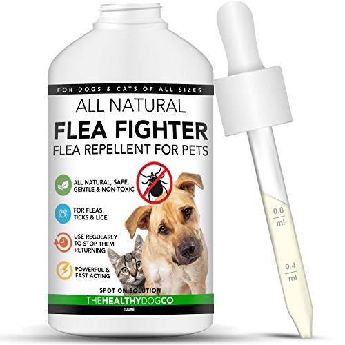 The Healthy Dog Co Solución para el Tratamiento y la prevención Natural de Las pulgas | Solución para Perros y Gatos | Mata, previene y controla Las pulgas, Las garrapatas y los piojos