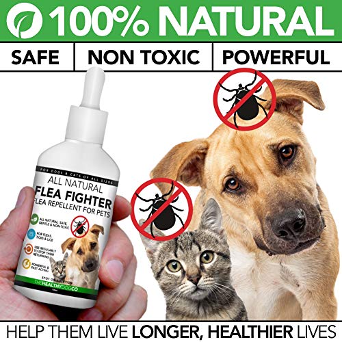 The Healthy Dog Co Solución para el Tratamiento y la prevención Natural de Las pulgas | Solución para Perros y Gatos | Mata, previene y controla Las pulgas, Las garrapatas y los piojos