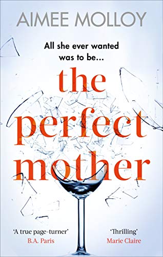 The Perfect Mother: A gripping thriller with a nail-biting twist (English Edition)