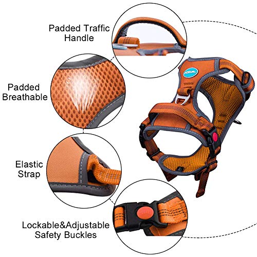ThinkPet Arnés Deportivo para Perros sin tirones y Transpirable: Chaleco Ajustable de Seguridad Acolchado Reflectante, para Exteriores y Entrenamiento Perros pequeños medianos Grandes