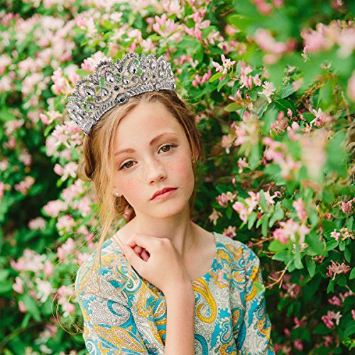 Tiara de novia con diamantes de imitación y peinetas laterales, marca Frcolor