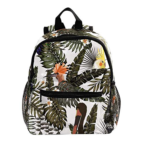 TIZORAX - Mochila ligera para niños y niñas diseño 16 25.4x10x30 CM/10x4x12 in