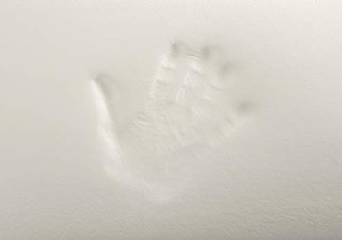 Todocama - Almohada viscoelástica, Antiácaros y Antibacterias. Núcleo Compacto. Doble Funda con Cremallera. Tejido Aloe Vera. Termorregulable adaptabilidad al Cuello. (70 cm)