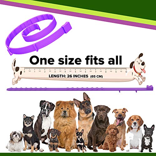 toldi Tratamiento-de-pulgas-para-Perros, Collar-antipulgas-Perros Ajustable, 8 Meses de protección-contra-pulgas-y-garrapatas-para-Perros Cachorros Collar Repelente de piojos y garrapatas