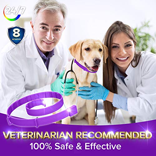 toldi Tratamiento-de-pulgas-para-Perros, Collar-antipulgas-Perros Ajustable, 8 Meses de protección-contra-pulgas-y-garrapatas-para-Perros Cachorros Collar Repelente de piojos y garrapatas