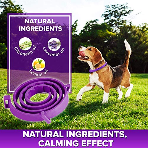 toldi Tratamiento-de-pulgas-para-Perros, Collar-antipulgas-Perros Ajustable, 8 Meses de protección-contra-pulgas-y-garrapatas-para-Perros Cachorros Collar Repelente de piojos y garrapatas