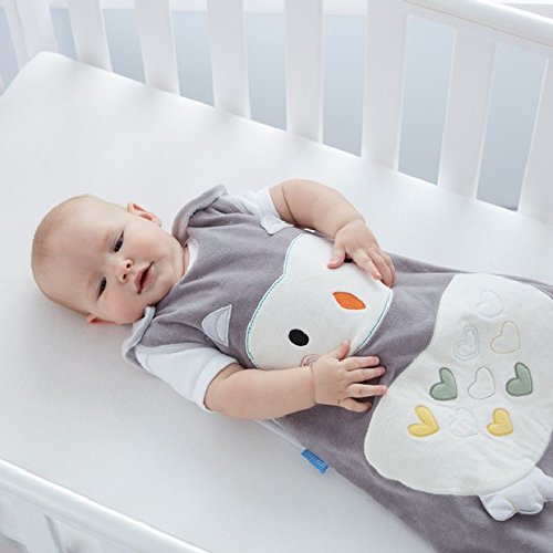 Tommee Tippee GRO Saco de dormir Grobag, 0-6 m, 2.5 TOG, Ollie el Búho