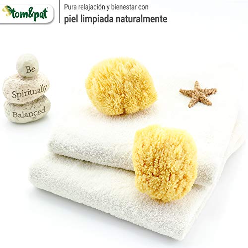 tom&pat® Esponja Natural Grass – Esponja de baño del mar Mediterráneo – Primera Calidad (13-14 cm)