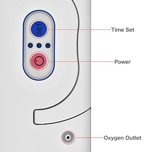 TOPQSC Generador de Concentrador de Oxígeno Portátil,Purificador de Aire de Oxígeno de Alta Pureza Del 90%, Para Uso Doméstico y Hospitalario (TP-B1)
