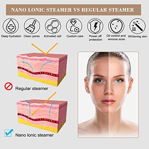 TOPQSC Vaporizador Facial Sauna Facial Vaporizador Spray Spa Vapor Térmico Nano Spray Lonic Humidifier for Face Care Piel Hidratante Limpieza Profunda de Destapar Poros Facial Mist Sprayer Steamer