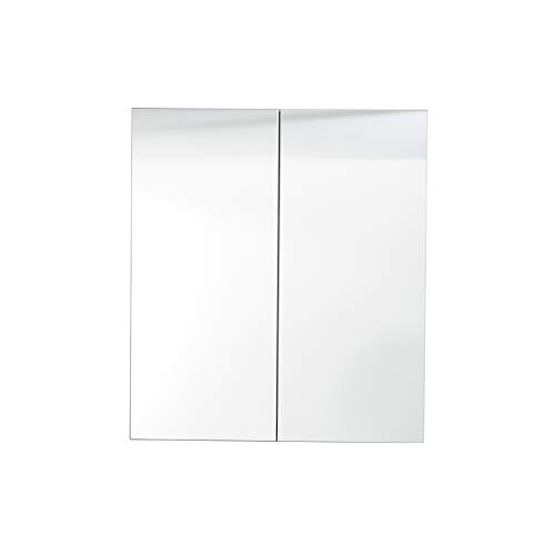 trendteam smart living Skin TS-ideen-Armario baño (Mucho Espacio), Color Gris, Cristal de Espejo Frontal, 60 x 67 x 18 cm