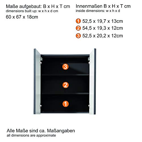 trendteam smart living Skin TS-ideen-Armario baño (Mucho Espacio), Color Gris, Cristal de Espejo Frontal, 60 x 67 x 18 cm