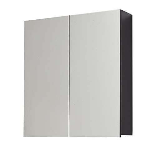 trendteam smart living Skin TS-ideen-Armario baño (Mucho Espacio), Color Gris, Cristal de Espejo Frontal, 60 x 67 x 18 cm