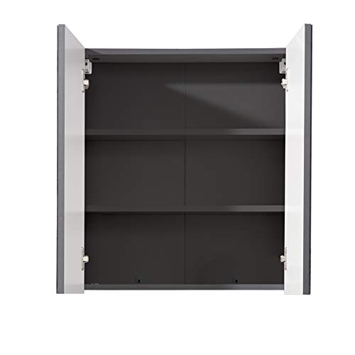 trendteam smart living Skin TS-ideen-Armario baño (Mucho Espacio), Color Gris, Cristal de Espejo Frontal, 60 x 67 x 18 cm
