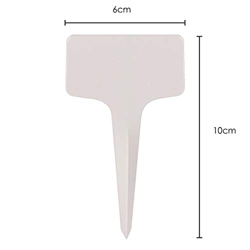 TRIXES 100 Etiquetas para Plantas en Forma de T - 6 x 10 cm - para Jardinería - para Etiquetado y Visualización de Semillas para Jardín - Etiquetas Plantas