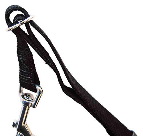 TRIXIE Arnés con cinturón de Seguridad, S, 30-60 cm, Perro