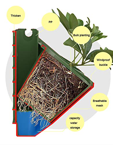 TTIK Jardín Vertical jardín Vertical Modular y Extensible CREA tu Muro Verde Vegetal Exterior decoración de Plantas