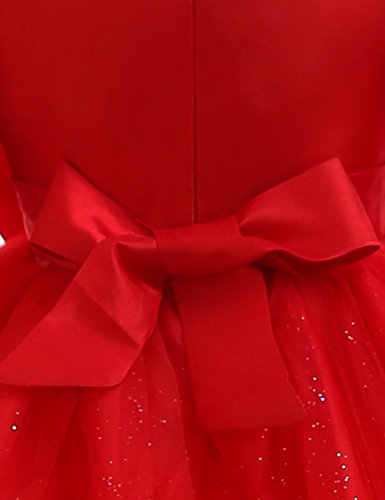 TTYAOVO Bebés Niñas Bordado Vestidos de Tutú de Fiesta de Cumpleaños de Princesa de Encaje de Flores de Manga Larga Vestidos 13-24 Meses Rojo