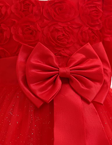 TTYAOVO Bebés Niñas Bordado Vestidos de Tutú de Fiesta de Cumpleaños de Princesa de Encaje de Flores de Manga Larga Vestidos 13-24 Meses Rojo