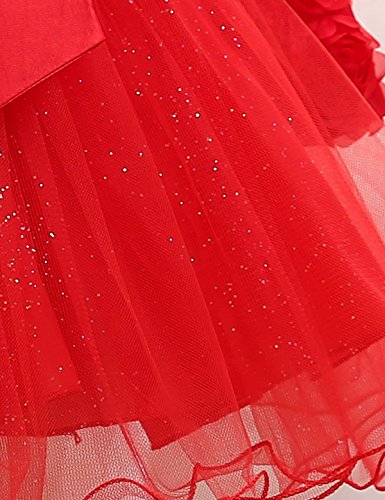 TTYAOVO Bebés Niñas Bordado Vestidos de Tutú de Fiesta de Cumpleaños de Princesa de Encaje de Flores de Manga Larga Vestidos 13-24 Meses Rojo