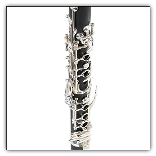 Tuyama® TKB-177 Clarinete en Sib (sistema Boehm) + estuche acolchado