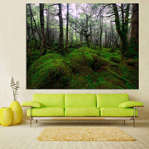 TYLPK HD 3D Impreso Verde Bosque Sombra Primavera Paisaje Pintura Mural sobre Lienzo Hogar Decoración de la Sala A1 30x40cm