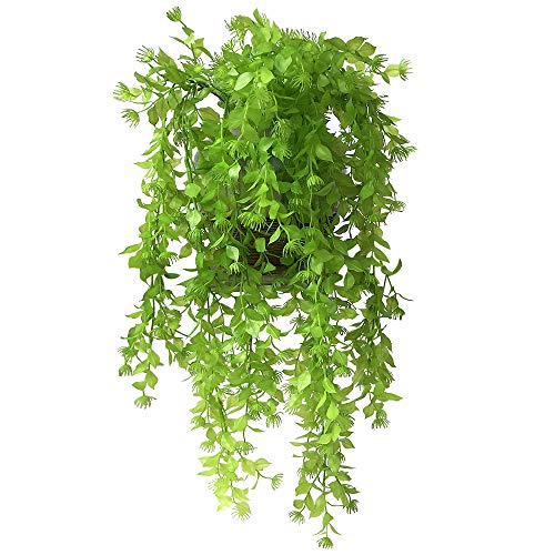 UBERMing 2 Piezas Plantas Colgantes de Eucalipto Artificiales Falsa Planta Colgante de Plastica Vid Artificial Hiedra Planta Colgante para Exterior Interior Pared Jardín Balcon Cesta Boda Decro