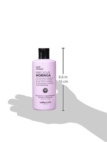 Udo Walz hairf Brentwood Repair Champú Precious Moringa, 1er Pack (1 x 300 ml)