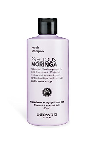 Udo Walz hairf Brentwood Repair Champú Precious Moringa, 1er Pack (1 x 300 ml)