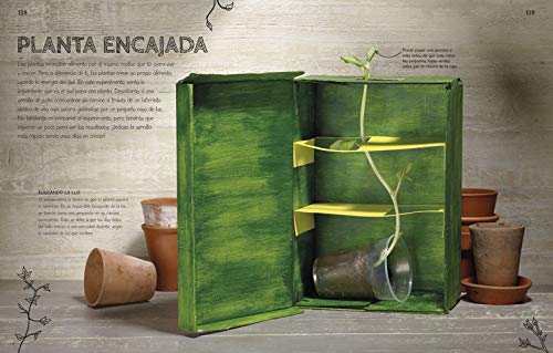 Un laboratorio en casa: Grandes experimentos para futuros científicos (Conocimiento)