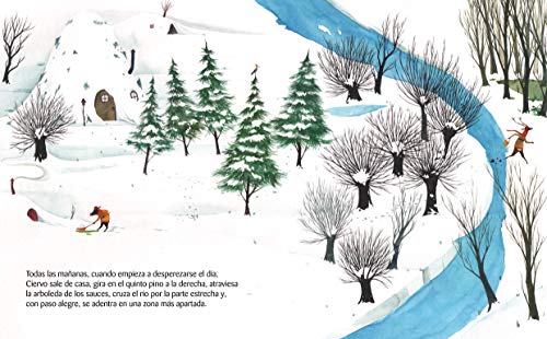 Un misterio en el bosque