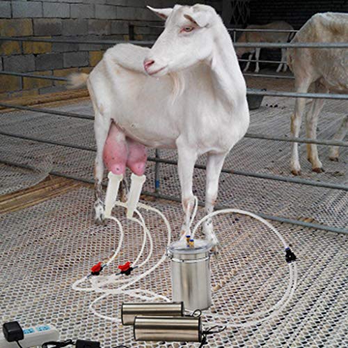 Vaca/Oveja Máquina De Ordeño Eléctrica, Bomba De Vacío De Acero Inoxidable Ordeñador De Cubo Bomba De Pecho para Ovejas Equipo De Cría De Ovejas Y Cabras,For Goat