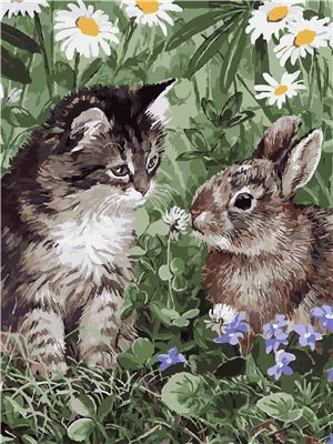 Vacio Pintar por Numeros para Adultos Niños Pintura Hierba Animal Conejo y Gato con Pinceles y Pinturas Decoraciones para el Hogar 40x50cm