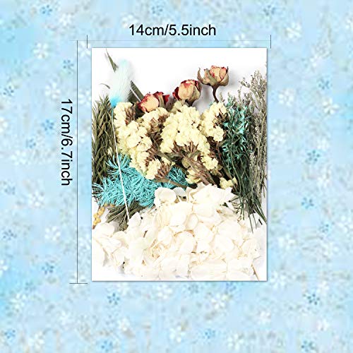 vamei Flor prensada Flores Secas Naturales Prensadas Flores Prensadas Mixtas Flores Prensadas Reales Orgánicas para DIY Joyería de Resina Bricolaje Manualidad Decoració (230)