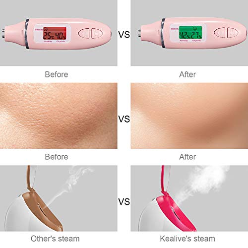 Vaporizador Facial - Spray SPA Facial de Nano Iónico Hogareño,Hidratante Apertura de poros Limpieza de puntos negros Sauna portátil portátil Sistema de SPA Nano pulverizador facial