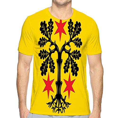 vbndfghjd Camiseta para Hombre Adulto Bandera de odenwaldkreis es un Distrito en Hesse M