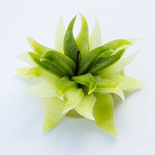 Vela Sonora hecho a mano en forma de flor con lentejuelas AU Perfume Natural – aroma a manzana – Sables & Reflets, 20