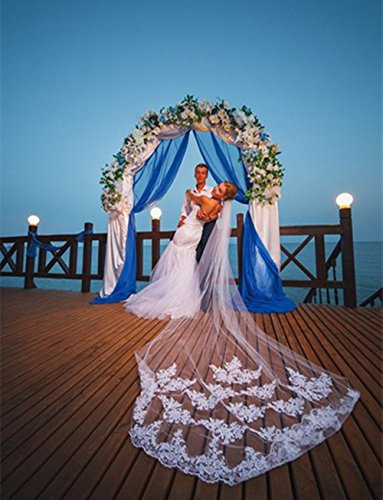 Velo de Novia de una Sola Capa Lianshi Bridal Veil Encaje Bordado de la Novia Suministros 3 m (Blanco)