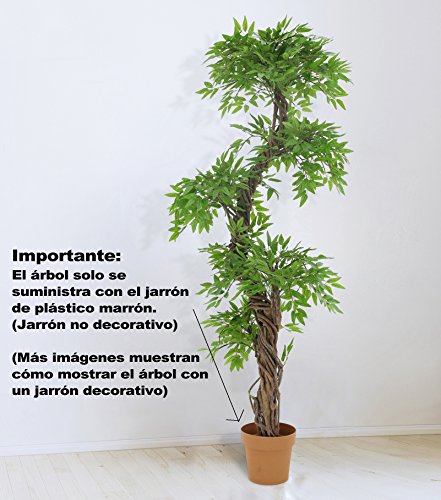 Vert Lifestyle Árbol Artificial de Feng Shui, Hojas Artificiales realistas con Corteza Real La Planta Mide Aproximadamente 166 cm de Alto