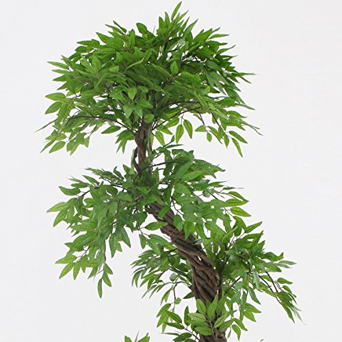 Vert Lifestyle Árbol Artificial de Feng Shui, Hojas Artificiales realistas con Corteza Real La Planta Mide Aproximadamente 166 cm de Alto