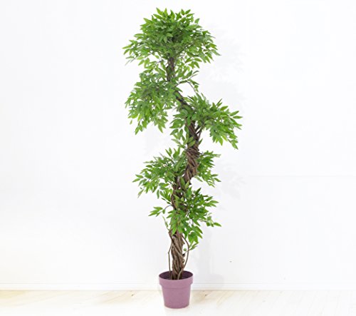 Vert Lifestyle Árbol Oriental Chino Artificial, Hojas Artificiales de Calidad con Tallo de Corteza Real. Altura: Aproximadamente 168 cm de Alto.