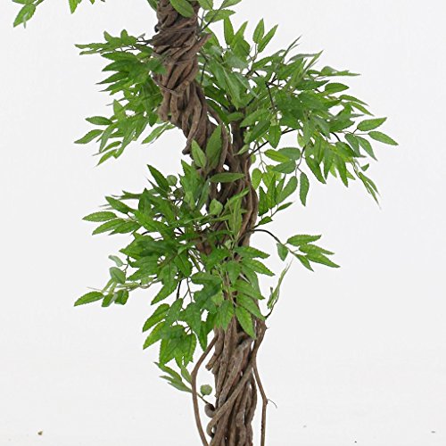 Vert Lifestyle Árbol Oriental Chino Artificial, Hojas Artificiales de Calidad con Tallo de Corteza Real. Altura: Aproximadamente 168 cm de Alto.